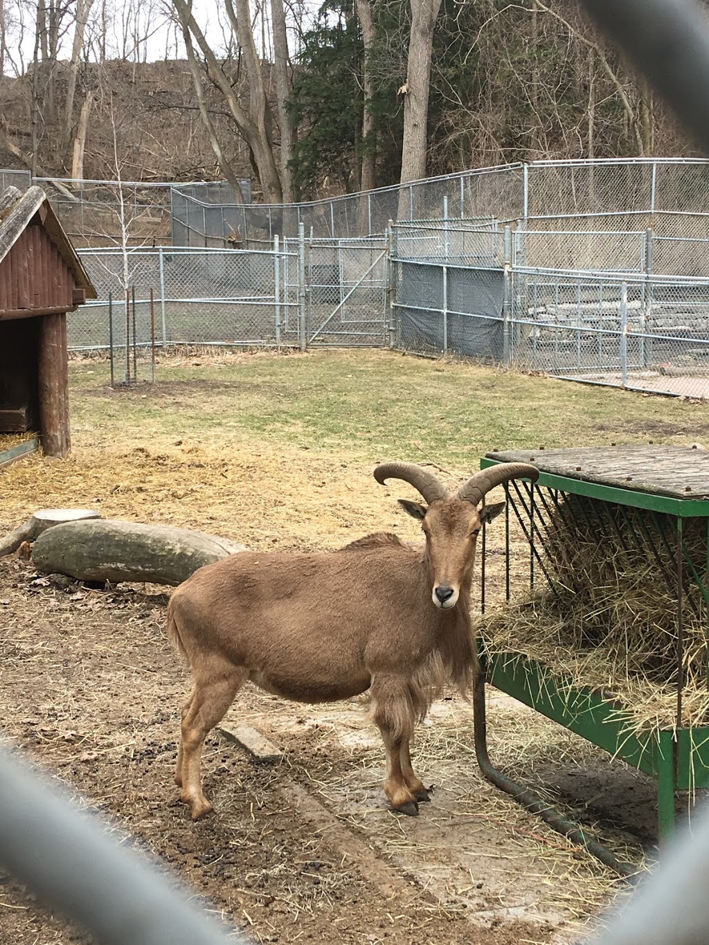 High Park Zoo | Toronto, ON M6R, Canada | Phone: (416) 338-4386