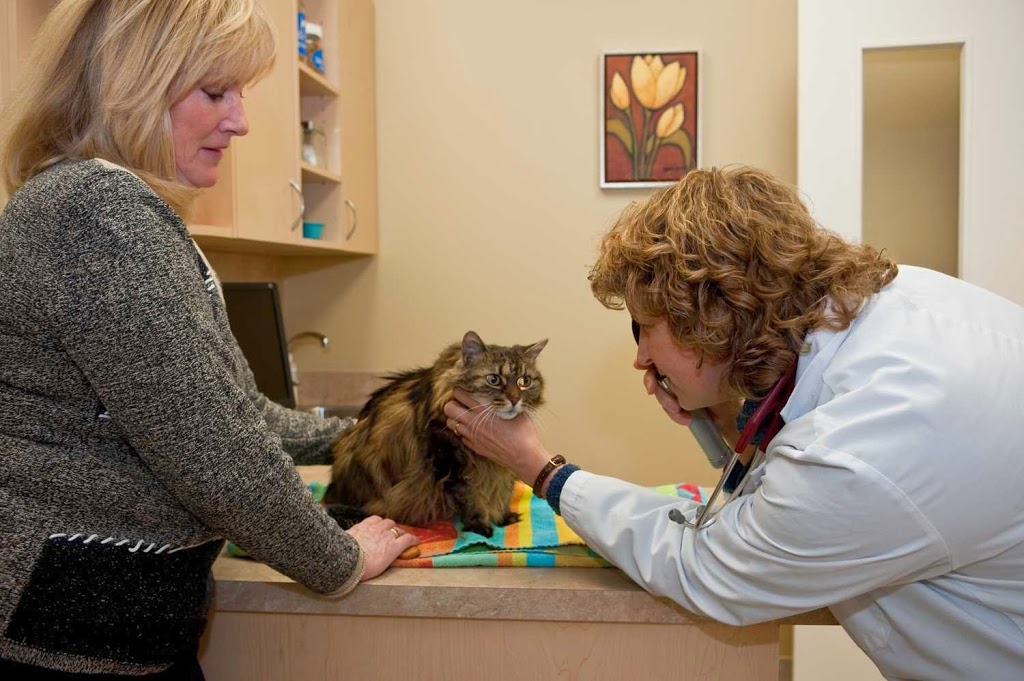 Westbridge Veterinary Hospital | 6956 Financial Dr #4, Mississauga, ON L5N 8J4, Canada | Phone: (905) 285-0002