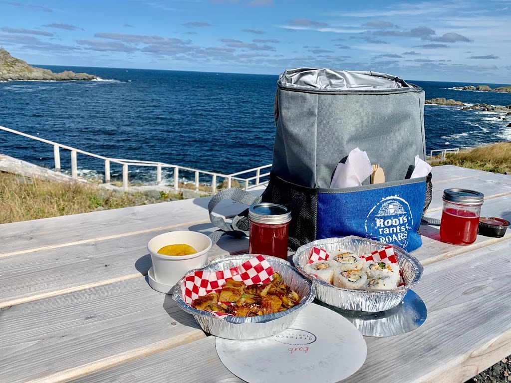 Wind at your Back Guided Adventures | Hearts Delight, 354 Main Rd, Normans Cove, NL A0B 2A0, Canada | Phone: (709) 589-4170