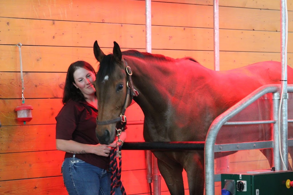 Westana Equine Rehabilitation & Conditioning Centre | Range Rd 211, Redwater, AB T0A 2W0, Canada | Phone: (780) 736-3537