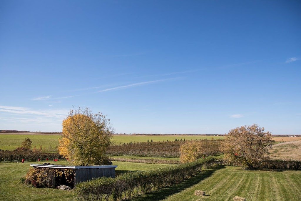 Vignoble du Mouton Noir | 1482 Rue du Rivage, Saint-Antoine-sur-Richelieu, QC J0L 1R0, Canada | Phone: (514) 231-3227