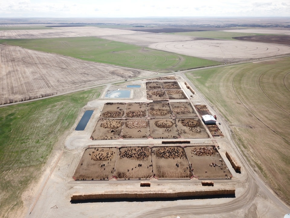 Riverside Colony Feedlot | CHM7+69, Glenwood, AB T0L 0Z0, Canada | Phone: (403) 892-0562