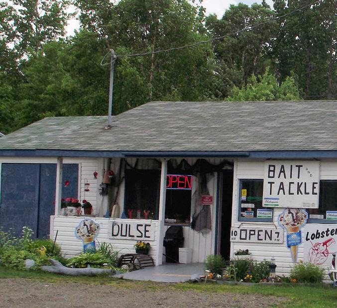 Five Islands Fish Market & Bait and Tackle Shop | Nova Scotia Trunk 2, Lower Five Islands, NS B0M 1N0, Canada | Phone: (902) 254-2177