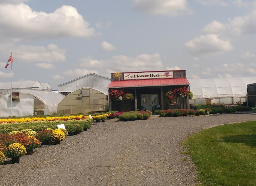 Flowerbed Greenhouses Ltd. | 22653 Kent Bridge Rd, Kent Bridge, ON N0P 1V0, Canada | Phone: (519) 352-3439