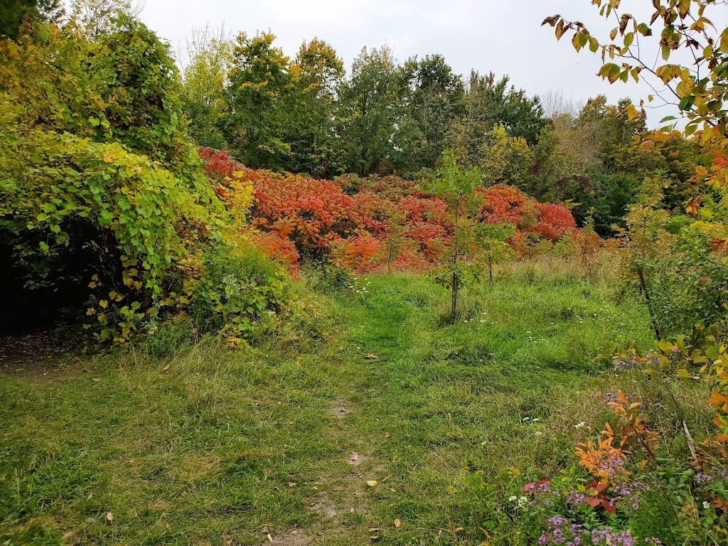 Ferme LAuteuilloise | 830 Bd des Mille-Îles, Laval, QC H7J 1E7, Canada | Phone: (450) 625-8826