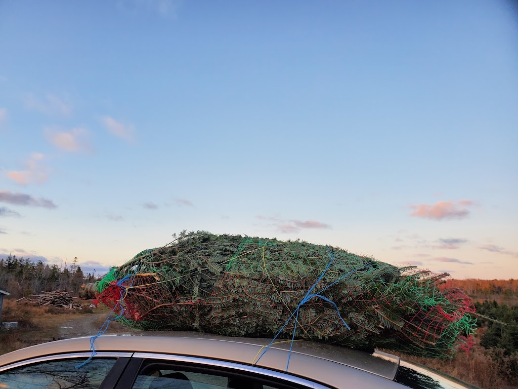 Hogans Christmas Tree Farm | 315 Etter Rd, Mount Uniacke, NS B0N 1Z0, Canada | Phone: (902) 866-2392