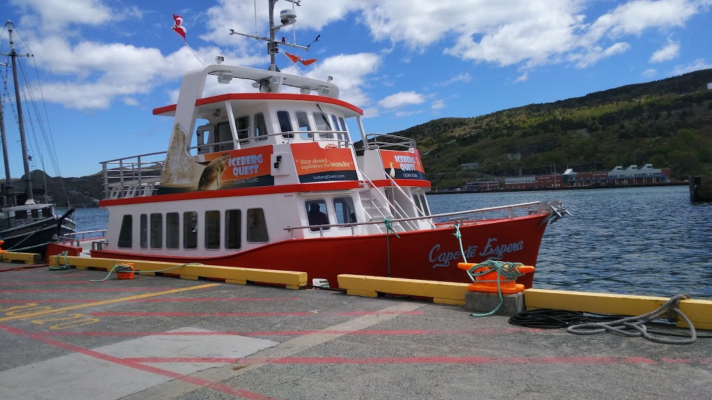 Iceberg Quest Ocean Tours | 135 Harbour Drive Pier 6, St. Johns, NL A1C 6N6, Canada | Phone: (709) 722-1888