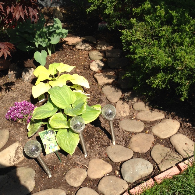 DesignMyGarden.ca | 1388 Goldhawk Trail, Oakville, ON L6M 3Y5, Canada | Phone: (905) 808-3410