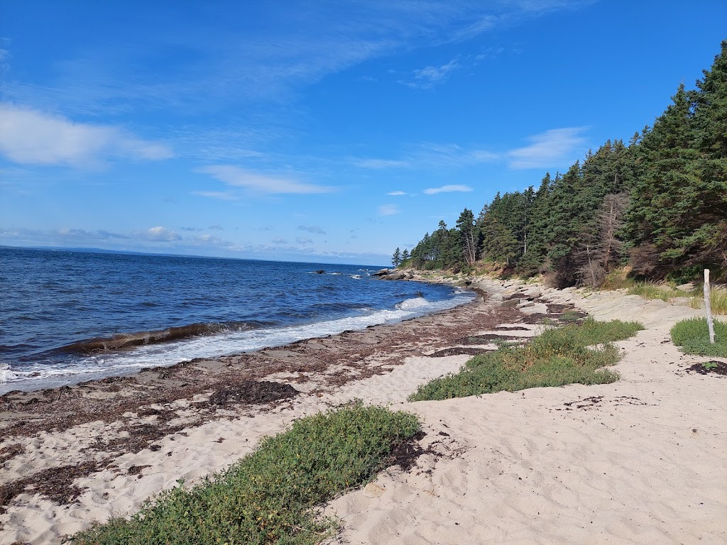 Pictou Island Wooden Tents | 40 Pictou Island Rd, Pictou Island, NS B0K 1J0, Canada | Phone: (902) 759-3240