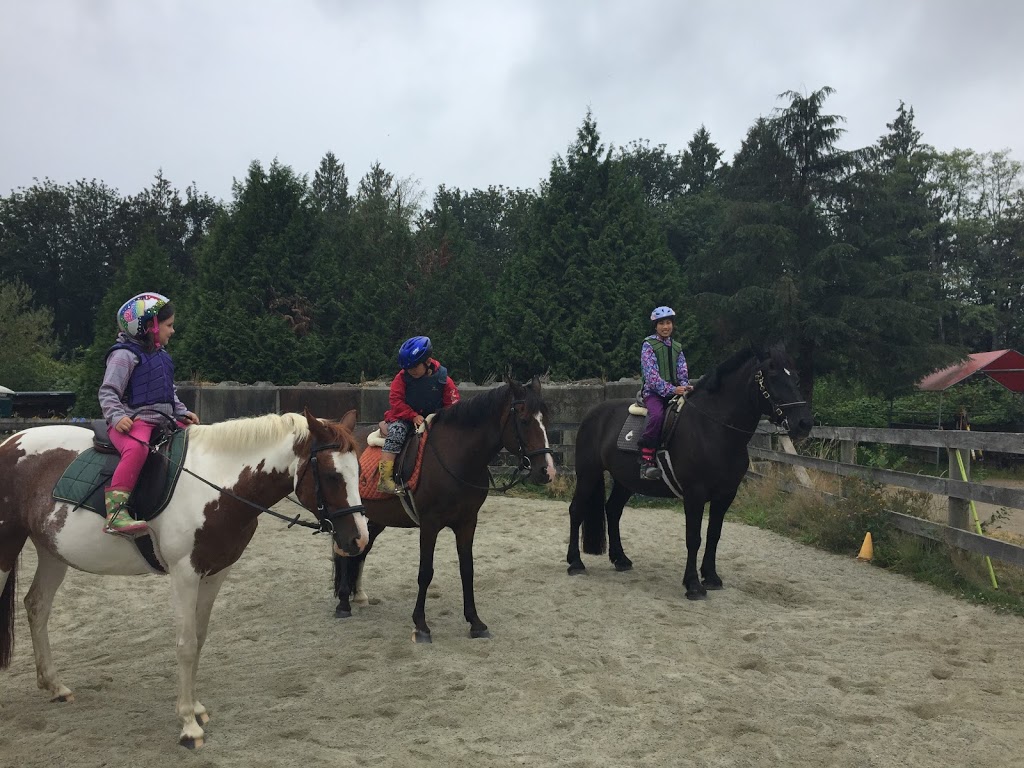 Sacred Equestrians | 22603 64 Ave, Langley City, BC V2Y 2N8, Canada | Phone: (778) 549-2585