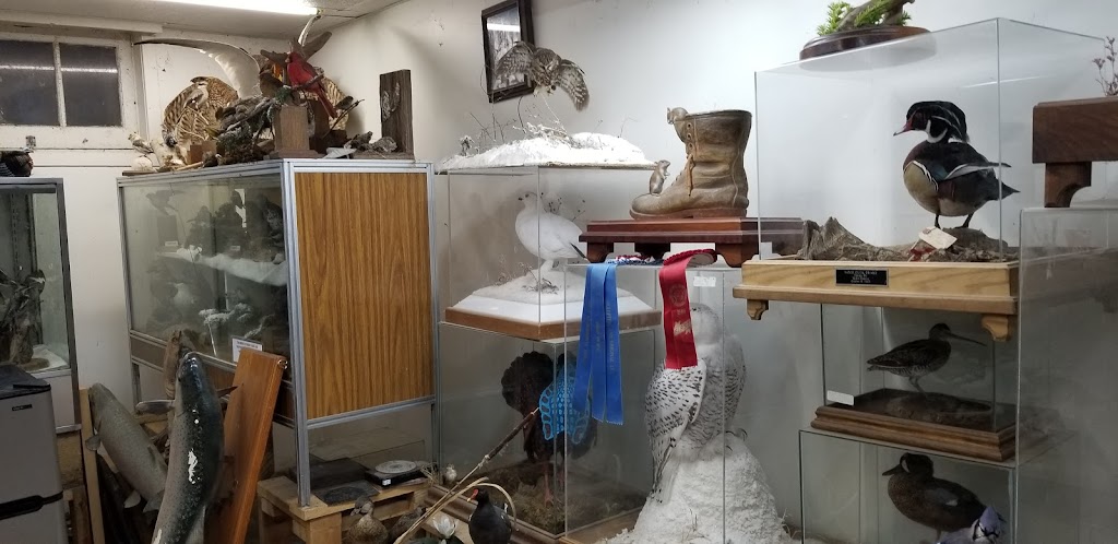 Jims Wild Life Taxidermy | 67 Lower Horning Rd, Hamilton, ON L8S 3E9, Canada | Phone: (905) 529-1995