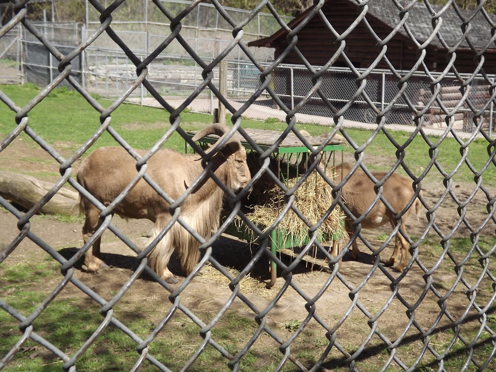 High Park Zoo | Toronto, ON M6R, Canada | Phone: (416) 338-4386