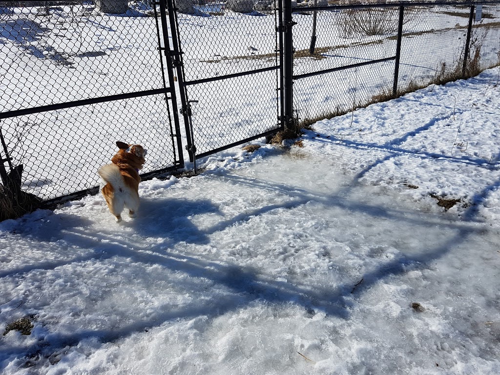 McLennan Park Gated Dog Park | 1T4,, McLennan Park Gate, Kitchener, ON N2E 1T4, Canada