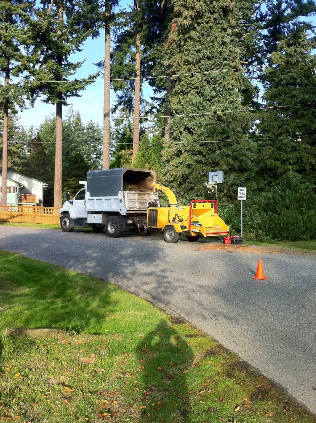 Eager Beaver Tree Service | 1562 Sawyer Rd, Victoria, BC V9B 5Y5, Canada | Phone: (250) 727-5693