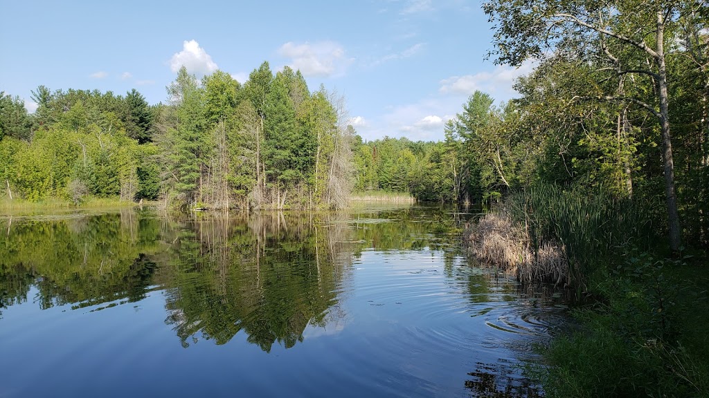 Scout Tract | 16578 McCowan Rd, Cedar Valley, ON L0G 1E0, Canada