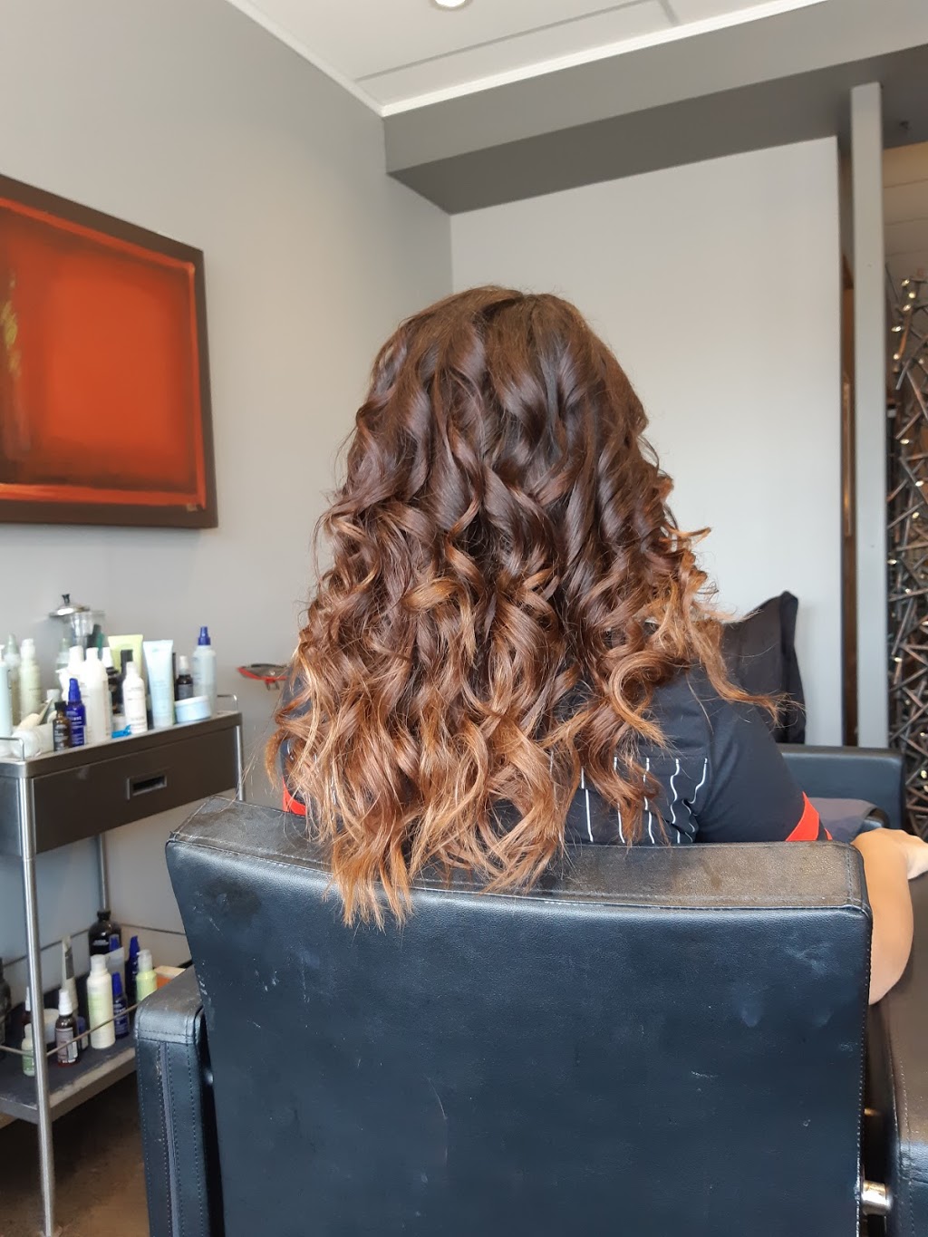 HAIR2DYE4 | 9-1700 Corydon Avenue, Winnipeg, MB R3N 0K1, Canada | Phone: (204) 488-2311