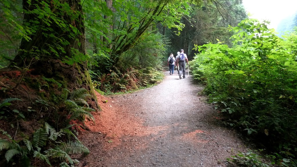 Old Buck Trailhead | North Vancouver, BC V7G, Canada