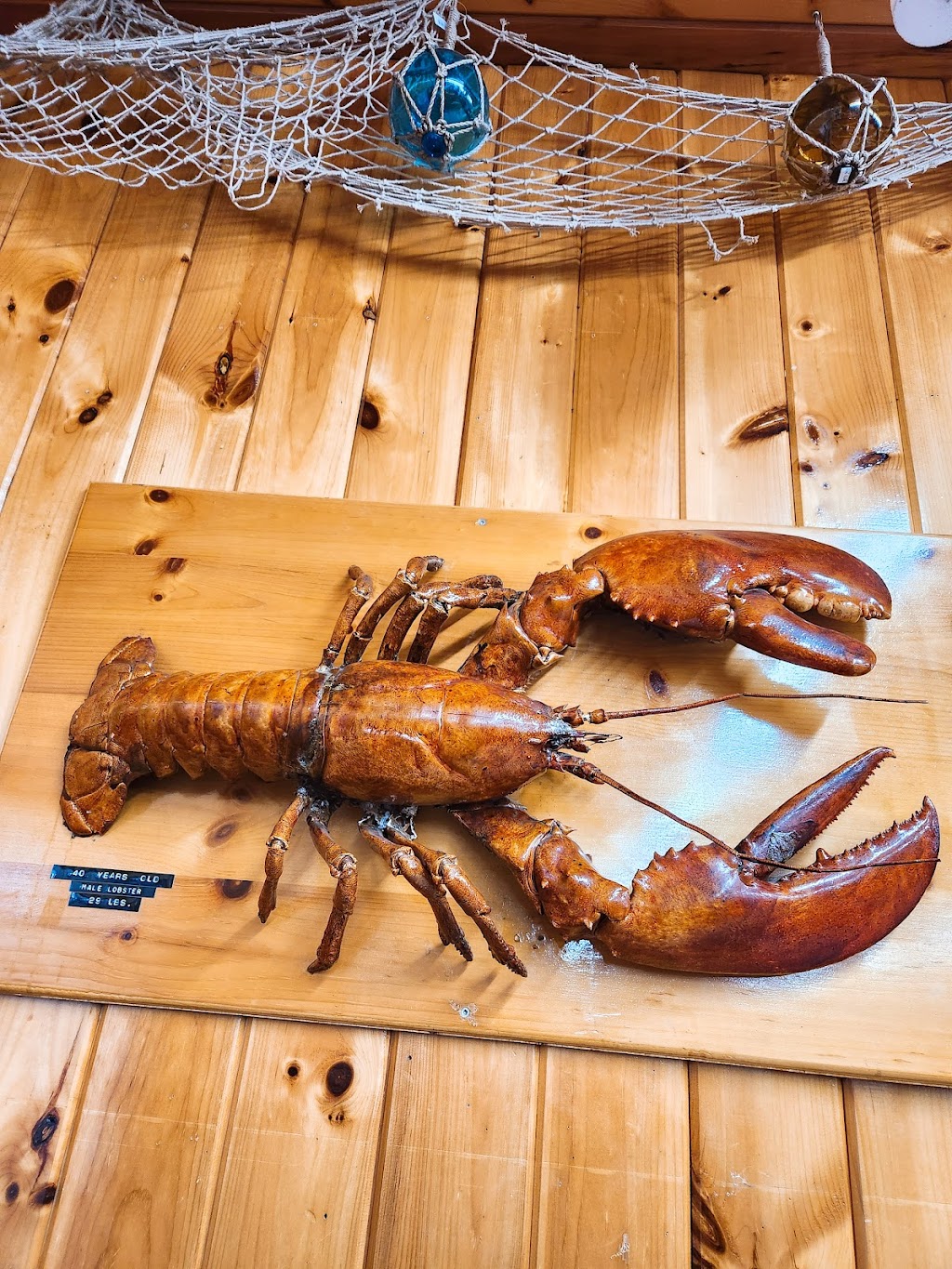 Fishermans Wharf Lobster Suppers | 7230 Rustico Rd, North Rustico, PE C0A 1X0, Canada | Phone: (902) 963-2669