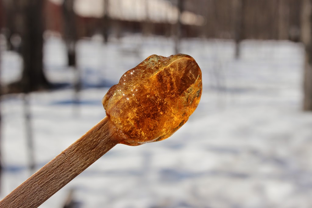 Cabane à Sucre St-Pierre & Famille Maple Sugar Camp | 20699 Stormont, Dundas and Glengarry County Road 2, Lancaster, ON K0C 1N0, Canada | Phone: (613) 347-2077