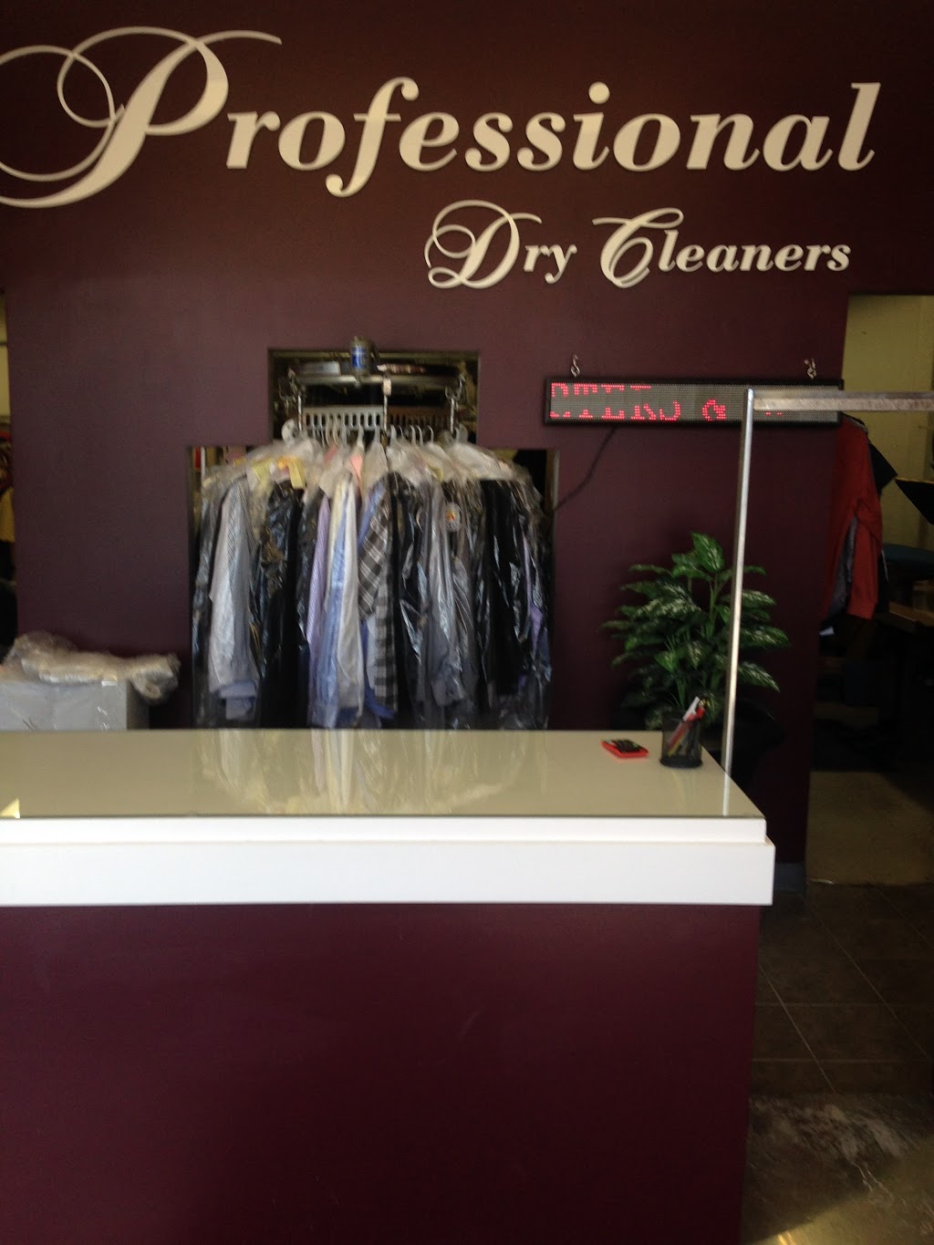 Professional Dry Cleaners Inc | 850 King St W, Oshawa, ON L1J 2L5, Canada | Phone: (905) 576-0024