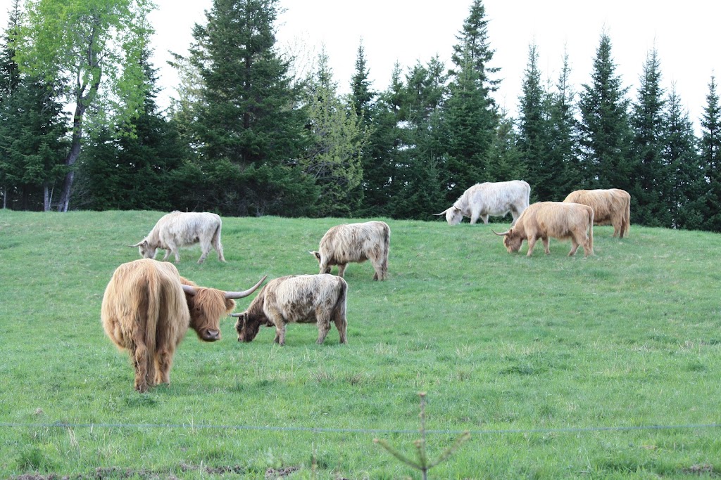 Ferme Fort-Rajo du Rang 4 Sud Inc | 230 4e Rang S, Saint-Victor, QC G0M 2B0, Canada | Phone: (418) 226-6554