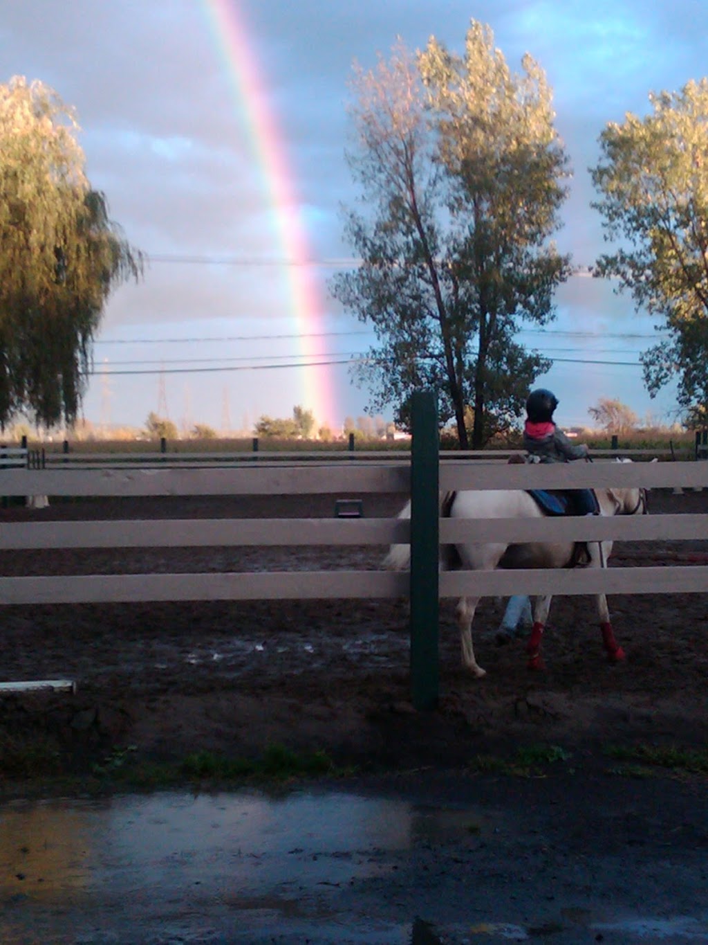 Equestrian Center Entre-Ami | 48 Chemin des Vingt, Saint-Mathieu-de-Beloeil, QC J3G 0E5, Canada | Phone: (450) 467-1264