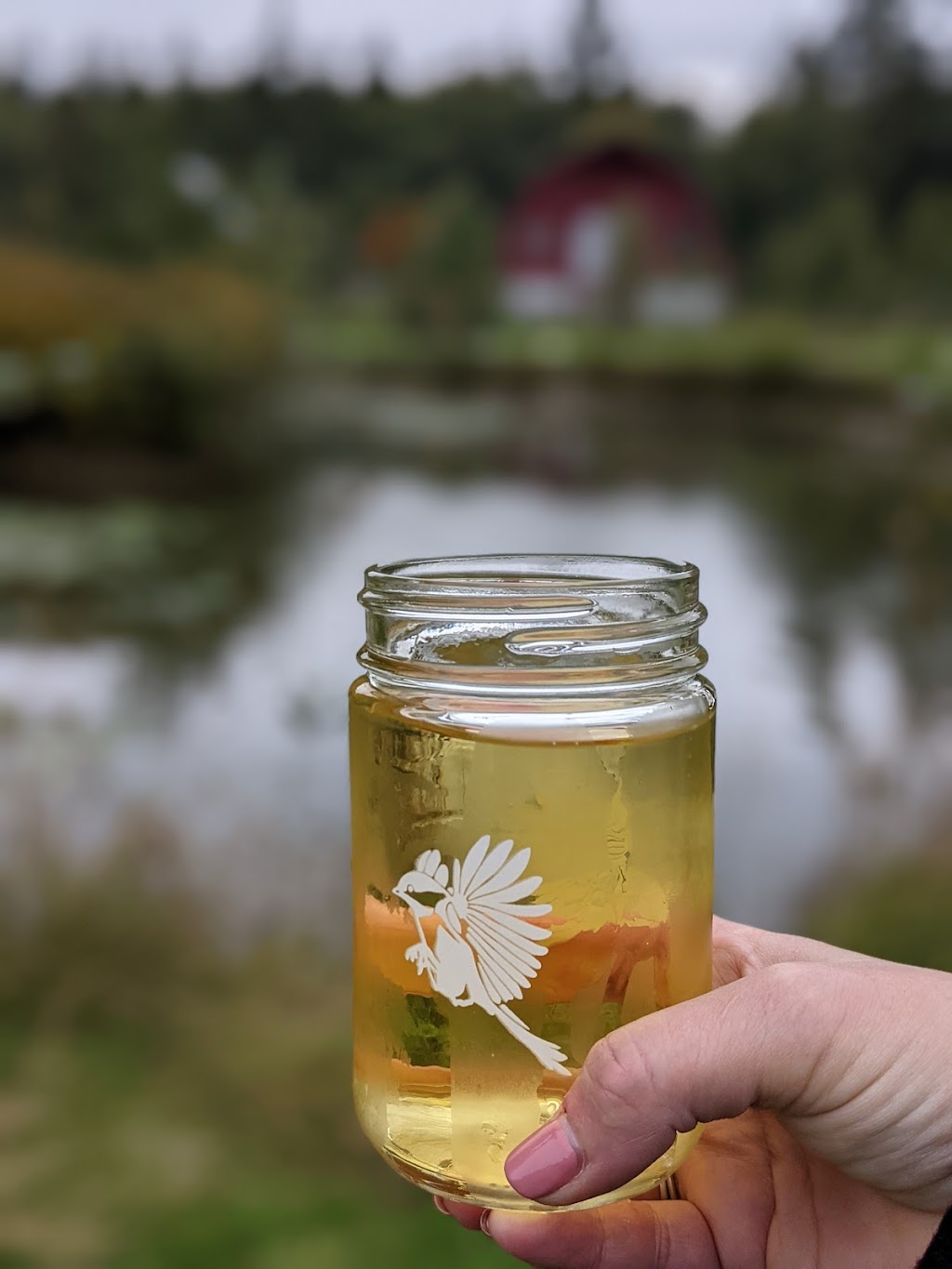 Banditry Cider | 538 Pratt Rd, Gibsons, BC V0N 1V4, Canada | Phone: (778) 855-5064