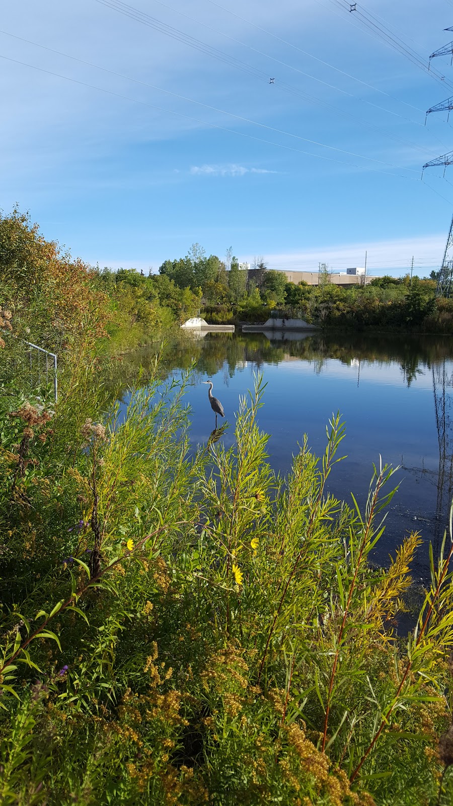 Sawmill Creek Reservoir | Hunt Club East - Western Community, Ottawa, ON K1V, Canada