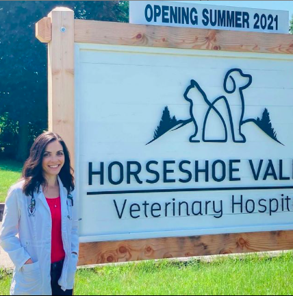 Horseshoe Valley Veterinary Hospital | 3471 Penetanguishene Rd, Oro-Medonte, ON L4M 4Y8, Canada | Phone: (705) 735-1001