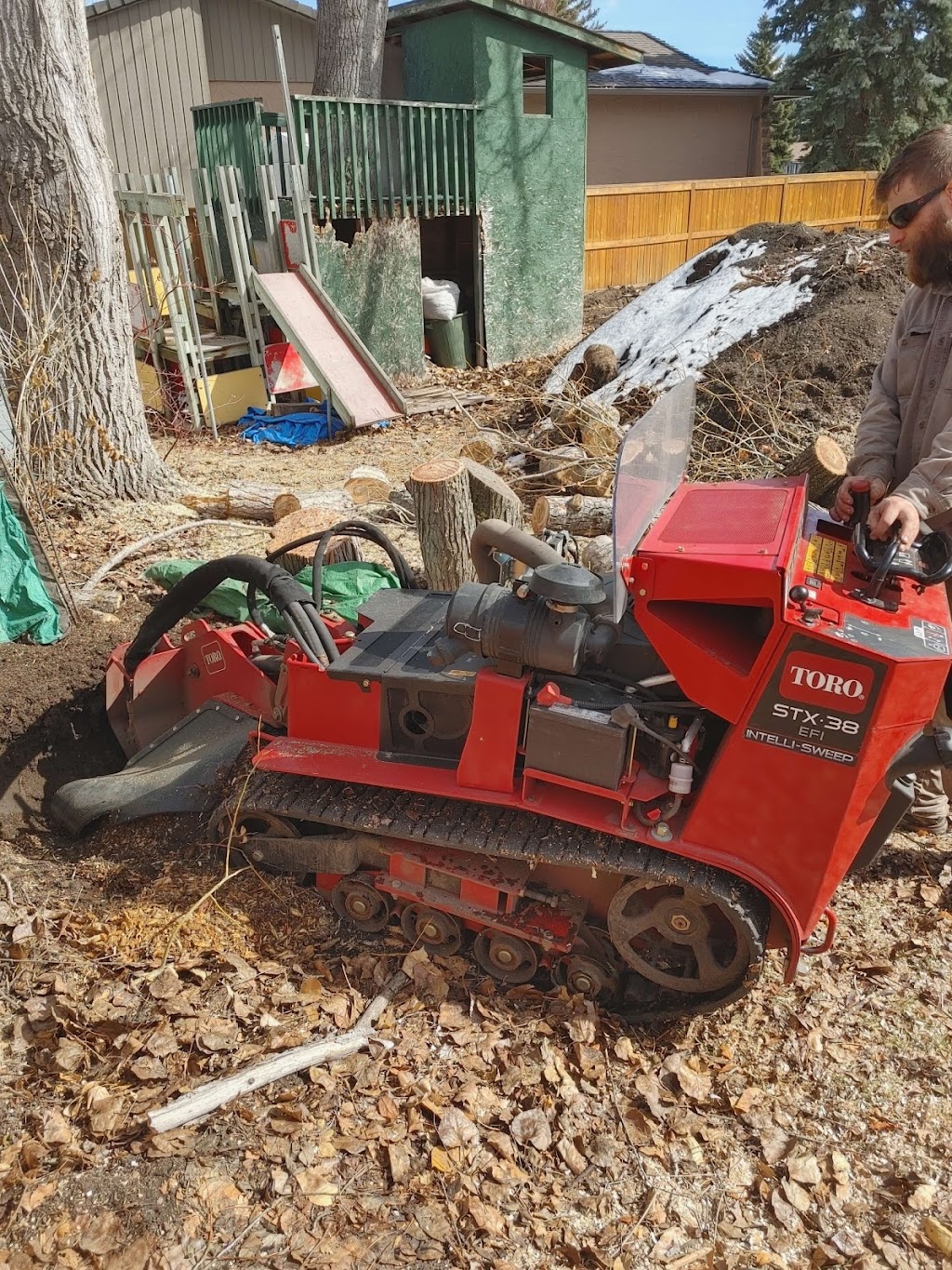 Calgary Tree Cutting | 2212 Palliser Dr SW, Calgary, AB T2V 3S3, Canada | Phone: (403) 601-0376