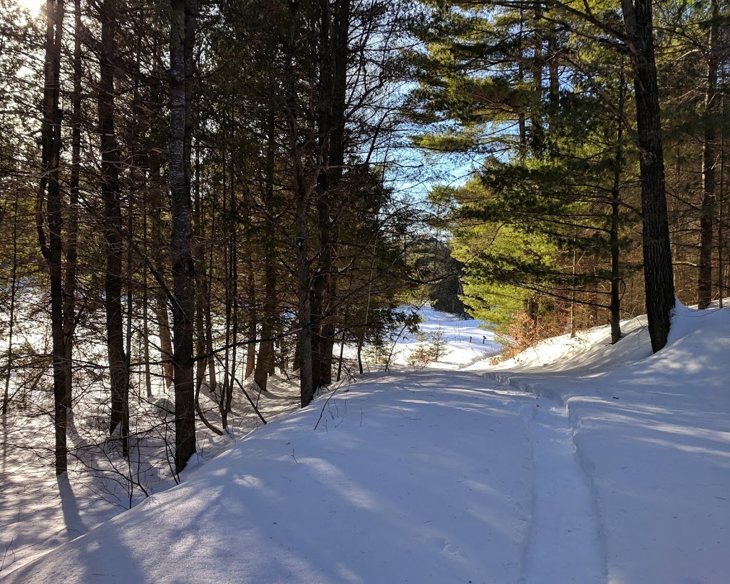 High Lonesome Nature Reserve | 867 Carbine Rd, Pakenham, ON K0A 2X0, Canada | Phone: (613) 253-2722