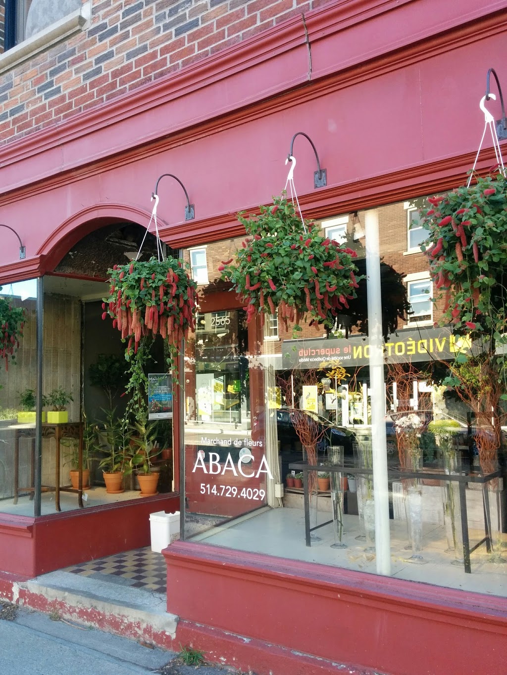 Fleuriste Abaca | 2565 Rue Beaubien E, Montréal, QC H1Y 1G4, Canada | Phone: (514) 729-4029