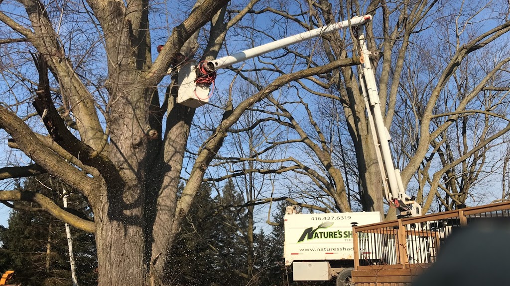 Natures Shade Tree Care | 50 Queen St, Schomberg, ON L0G 1T0, Canada | Phone: (416) 427-6319