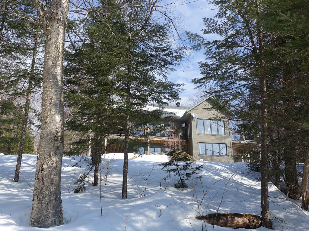 LOurs Laurentien | 129 Chemin du Grand Duc, Saint-Faustin-Lac-Carré, QC J0T 1J2, Canada | Phone: (514) 799-1780