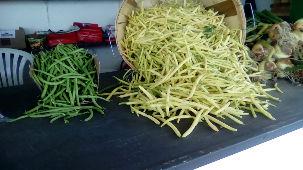 Les Légumes Charbonneau | 133 Chemin du Vide, Sainte-Angèle-de-Monnoir, QC J0L 1P0, Canada | Phone: (450) 460-7567