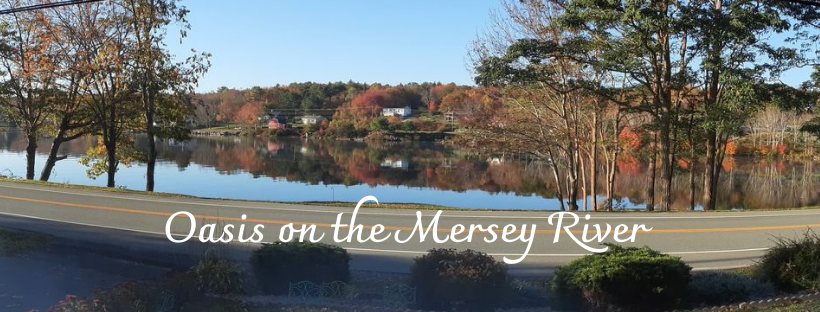 Oasis on the Mersey River | 139 Nova Scotia Trunk 8, Liverpool, NS B0T 1K0, Canada | Phone: (902) 803-0658