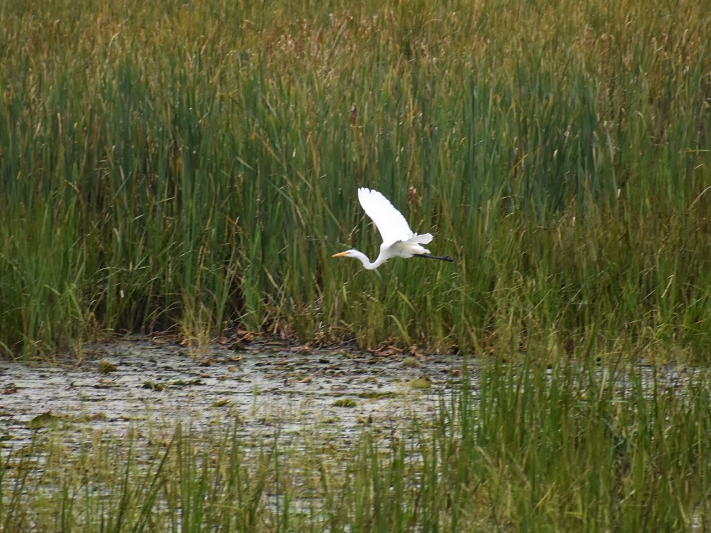 Ken Reid Conservation Area | 277 Kenrei Rd, Lindsay, ON K9V 4R2, Canada | Phone: (705) 328-2271