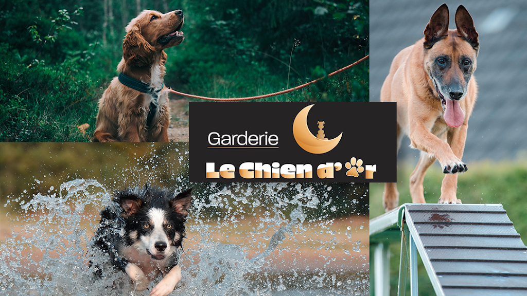 Garderie Le Chien Dor | 7025 35e Av, Saint-Georges, QC G5Y 5C2, Canada | Phone: (418) 225-6002