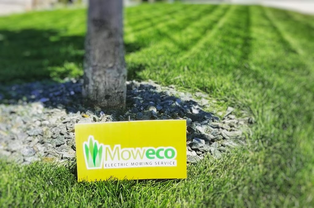 Moweco Electric Lawn Mowing Service | 260 Marion St, Winnipeg, MB R2H 0T7, Canada | Phone: (204) 669-3261