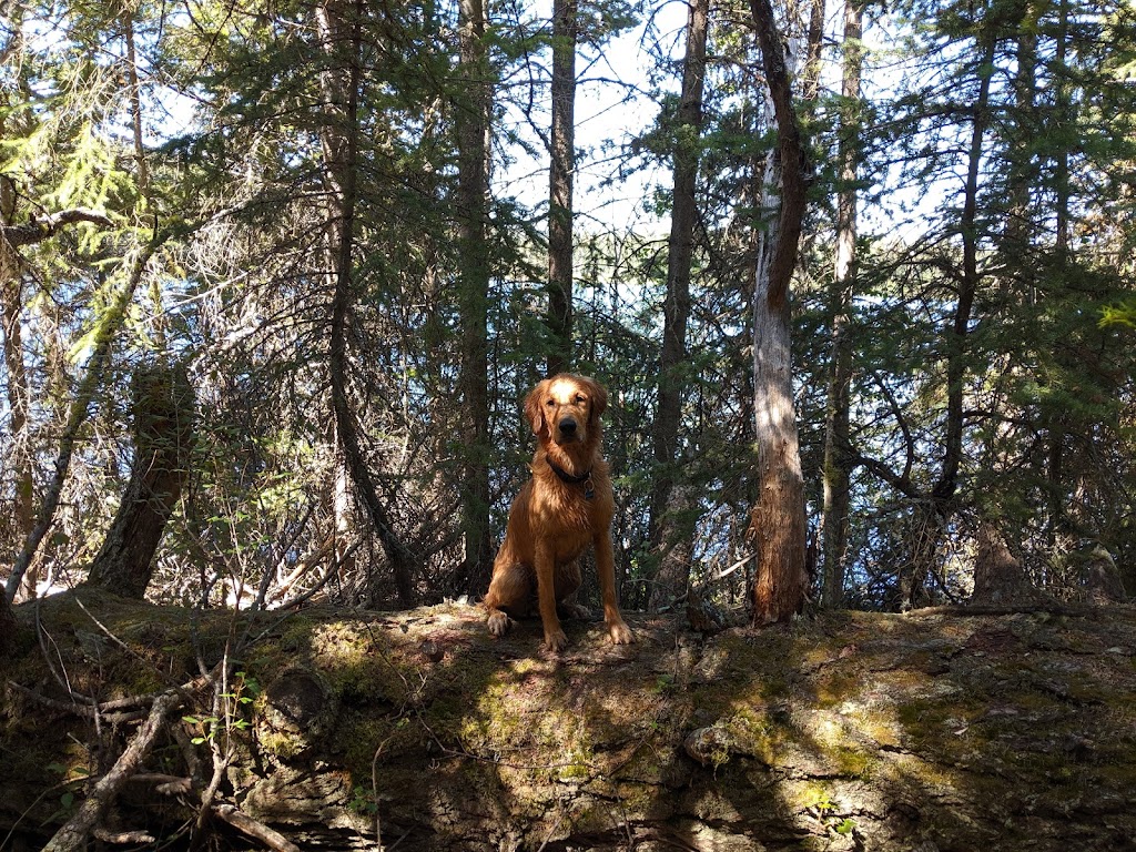 McConnell Lake Provincial Park | Logan Lake, BC V0K 1W0, Canada | Phone: (250) 377-8888