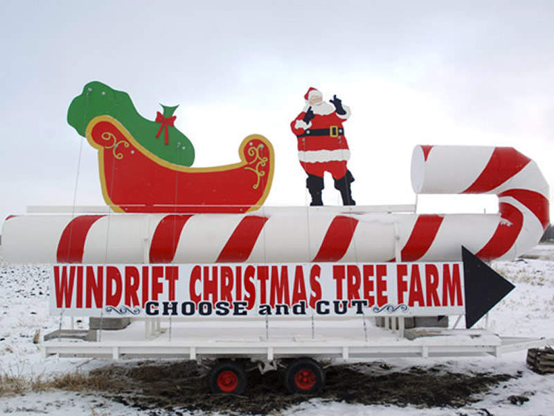 Windrift Christmas Tree Farm | rd 38e between 76 and 77, Tyndall, MB R0E 2B0, Canada | Phone: (204) 791-9421