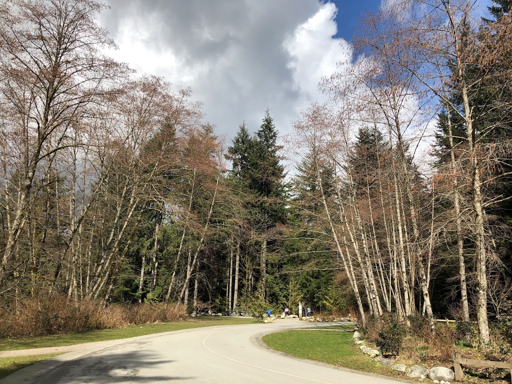 Big Cedar | North Vancouver, BC V7K 3B2, Canada