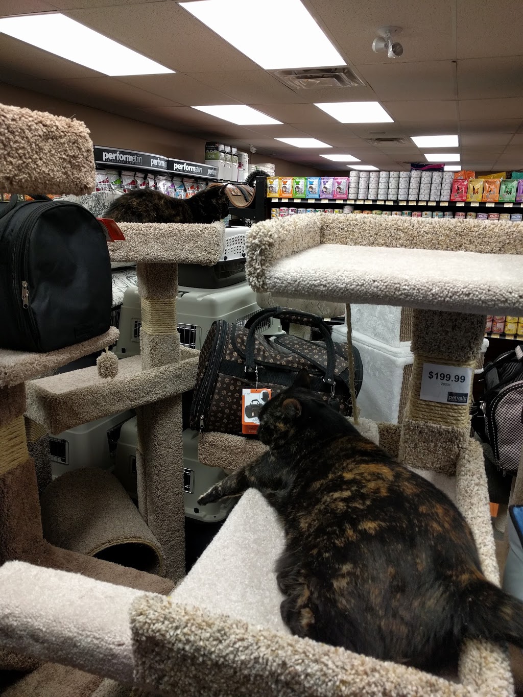 Pet Valu | NORTHDALE SHOPPING CENTRE, 963 Henderson Hwy, Winnipeg, MB R2K 2M3, Canada | Phone: (204) 339-9332