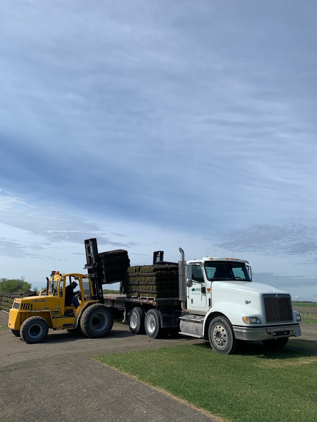 Lach Sod Farms | #84036 Rd 13E (corner of Road 84N & Road 13E), Balmoral, MB R0C 0H0, Canada | Phone: (855) 843-4222