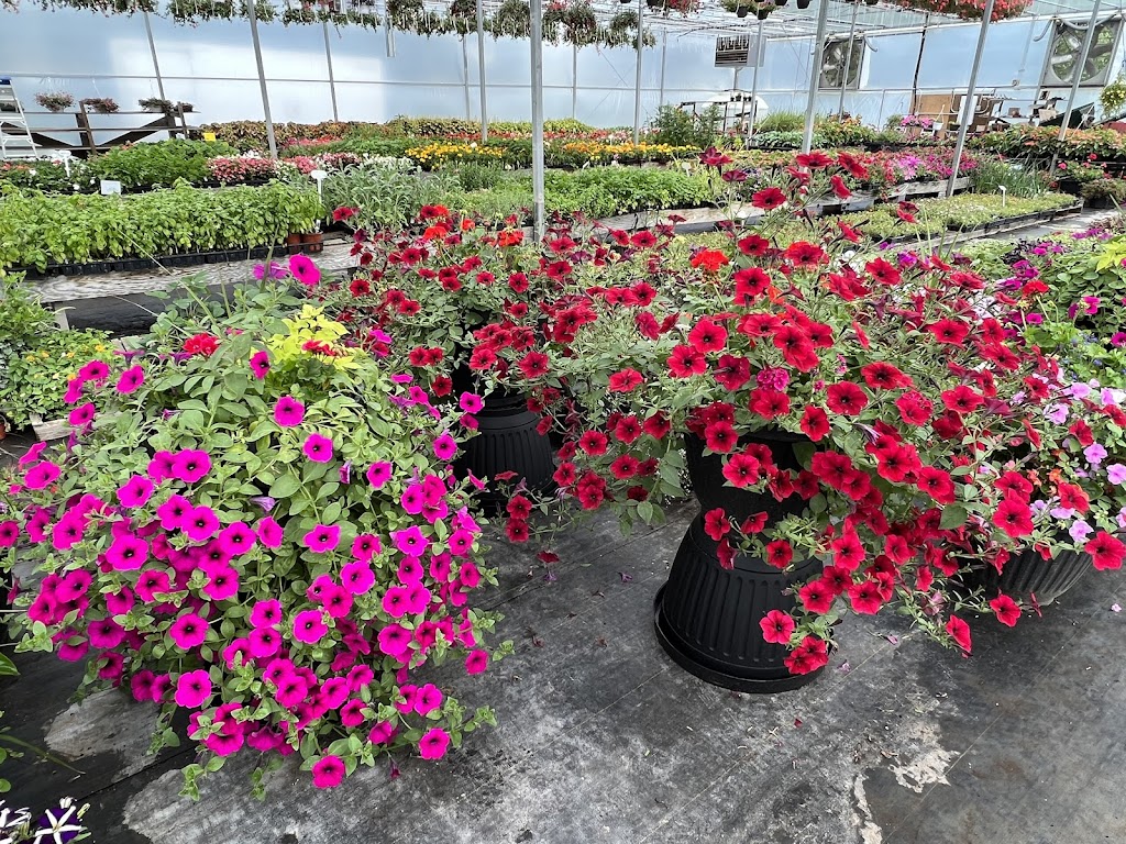 Andrew’s Greenhouse | 2587 Cockshutt Rd, Waterford, ON N0E 1Y0, Canada | Phone: (437) 335-3495