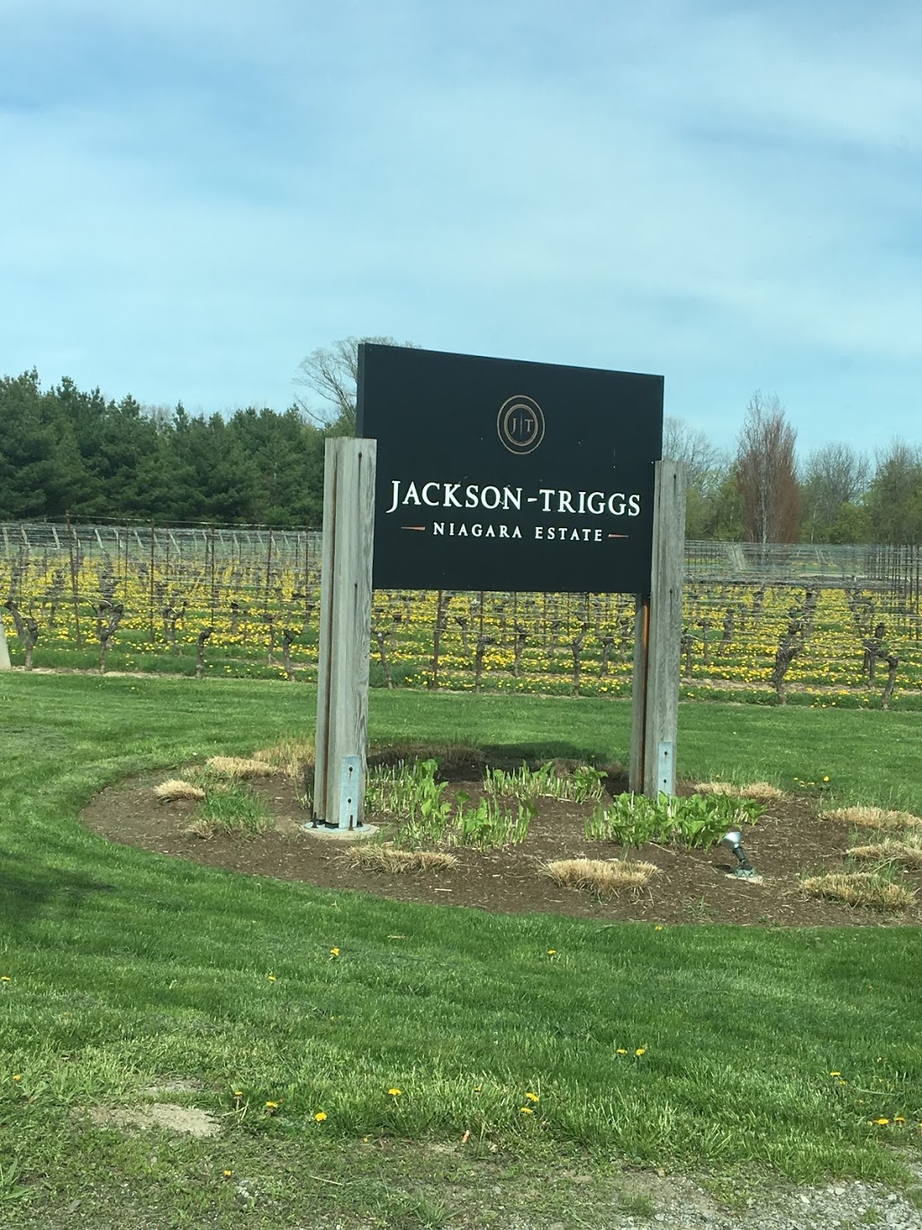 Jackson-Triggs | 2145 Regional Rd 55, Niagara-on-the-Lake, ON L0S 1J0, Canada | Phone: (905) 468-4637