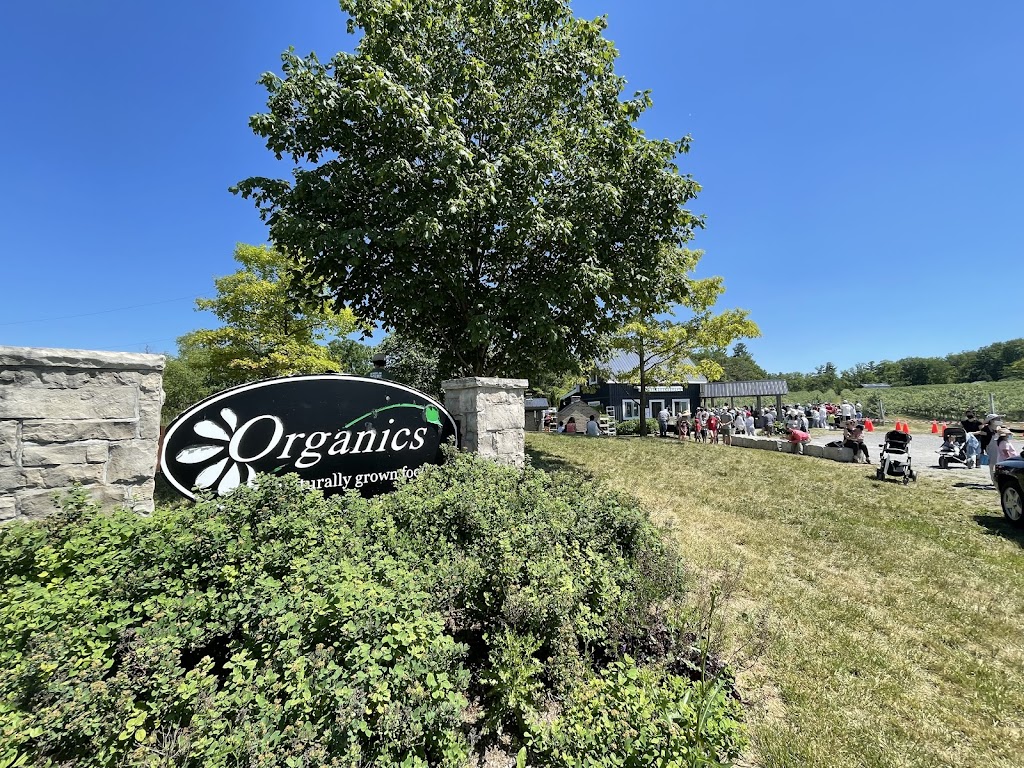 Organics Farm | 7550 19th Ave, Markham, ON L6B 1A8, Canada | Phone: (905) 640-5206