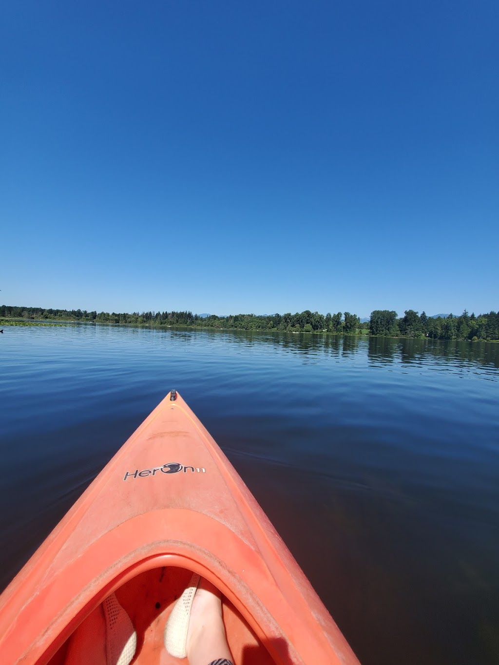 Deer Lake Boat Rentals | 5435 Sperling Ave, Burnaby, BC V5E 2T2, Canada | Phone: (604) 521-3183