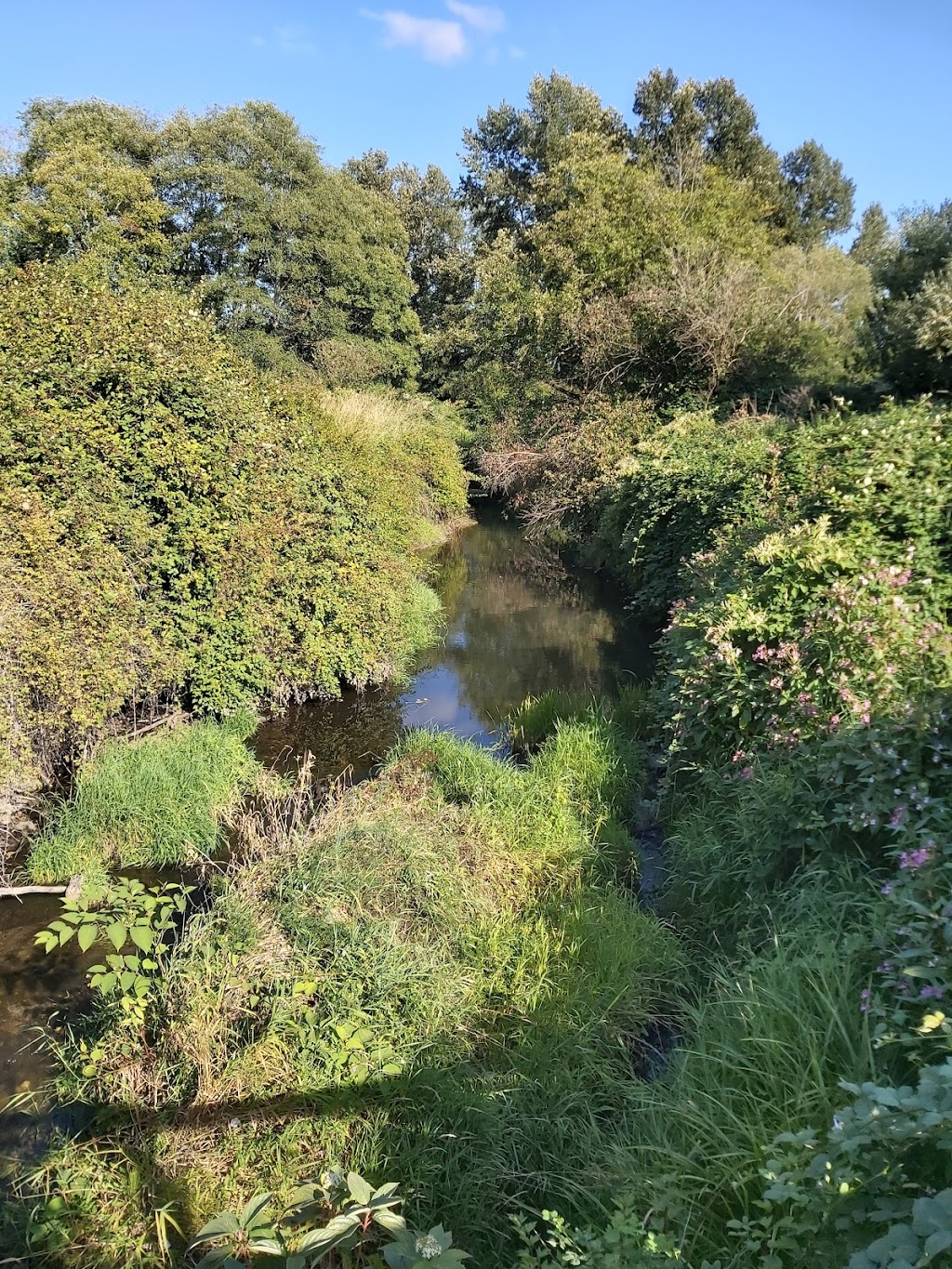 Nicomekl River Suspension Bridge | Langley, BC V3A 9H1, Canada | Phone: (604) 514-2912