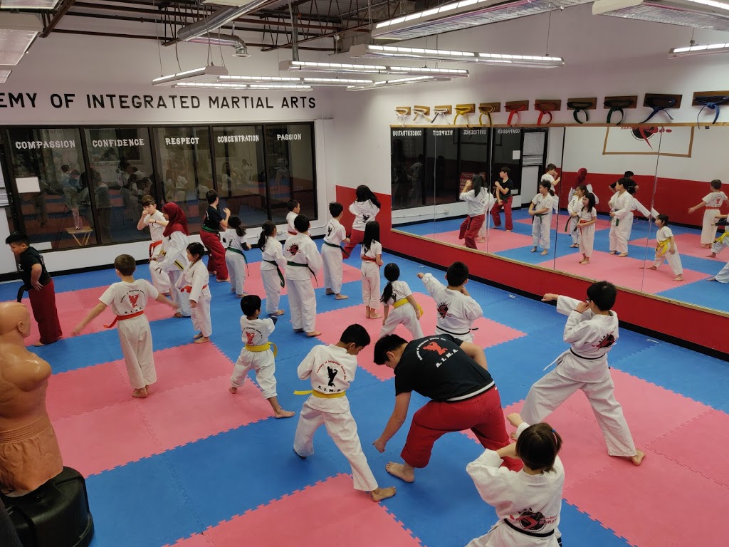 Academy of Integrated Martial Arts | 155 East Beaver Creek Rd Unit 16, Richmond Hill, ON L4B 2N1, Canada | Phone: (416) 795-7750